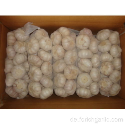 In der großen Nachfrage Jinxiang normaler weißer Knoblauch